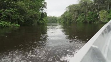 Cuyabeno vahşi yaşam beldesinin tropcial nehrinden geçerek Ekvador 'daki Amazon bölgesinin yağmur ormanlarından geçen deniz kenarından deniz manzarası..