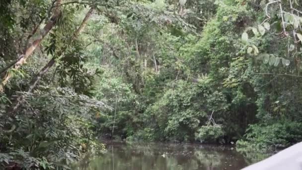 エクアドルのアマゾン地域の熱帯雨林を通ってカヤベノ野生生物リゾートのジャングルでトロピカル川を下るモーターボート側からの水を眺める — ストック動画