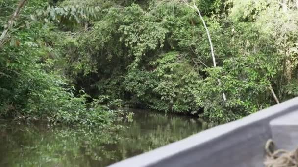 Utsikt Över Vattnet Från Motorbåt Sida Går Ner Tropcial Floden — Stockvideo