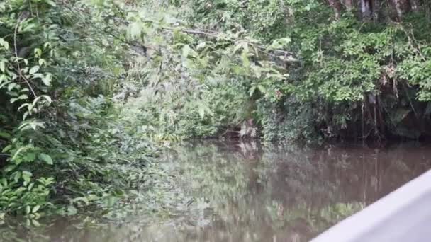 Utsikt Över Vattnet Från Motorbåt Sida Går Ner Tropcial Floden — Stockvideo