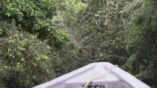 在厄瓜多尔亚马逊河流域的热带雨林中 从汽艇边沿着热带雨林的水域俯瞰着这片水域 — 图库视频影像