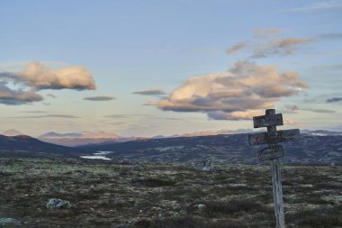 Norveç 'in orta kesimindeki Dovrefjell Ulusal Parkı' ndaki engebeli, sert tundranın yürüyüş yolu boyunca bir işaret direği.