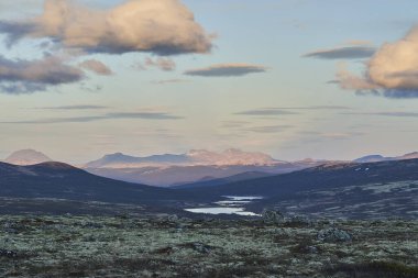 Norveç 'in orta kesimindeki Dovrefjell Ulusal Parkı' ndaki soğuk sert tundranın manzarası