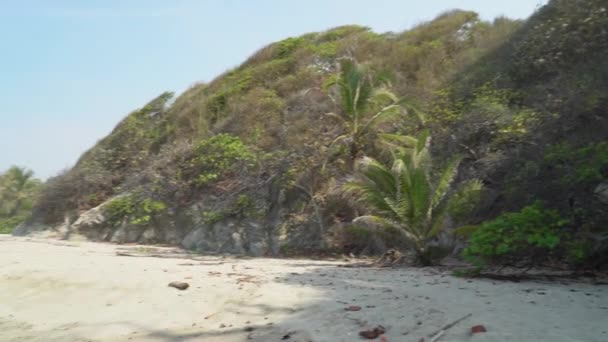 在热带海滩上的棕榈树靠近塔罗纳国家公园 位于加勒比海沿岸的加勒比海边 位于南美洲热带地区 — 图库视频影像