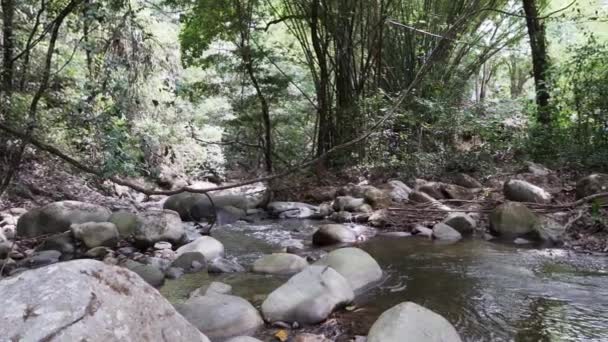 Rápidos Pequeño Río Selva Tropical Cerca Minca Sierra Nevada Santa — Vídeos de Stock