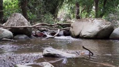 Kolombiya 'nın tropikal kıyıları boyunca And Dağları' ndaki Sierra Nevada de Santa Marta 'da Minca yakınlarındaki tropikal yağmur ormanlarındaki küçük bir nehrin akıntıları..
