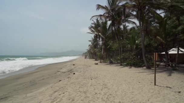 Fale Uderzające Białą Piaszczystą Plażę Pobliżu Parku Narodowego Tayrona Wzdłuż — Wideo stockowe