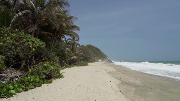 コロンビアのシエラネバダデサンタマルタのカリブ海の大西洋のトロピカル海岸に沿ってテイラス国立公園の近くの白い砂浜に押しつぶされる波 — ストック動画