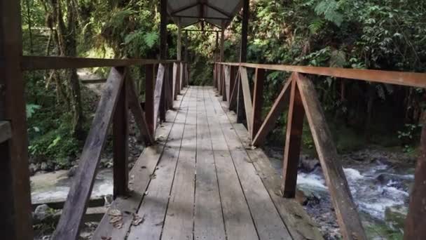 Ponte Legno Piccolo Fiume Lungo Sentiero Nel Parco Nazionale Del — Video Stock