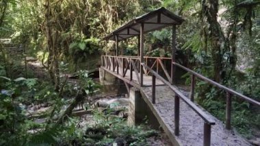 Ekvador And Dağları 'ndaki Podocarpus Ulusal Parkı' nda küçük bir nehir boyunca uzanan ahşap bir köprü..