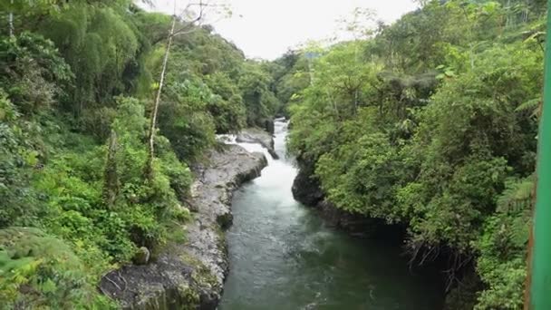 Vattenfall Vid Livlig Bäck Den Täta Regnskogen Amazonas Ecuador — Stockvideo