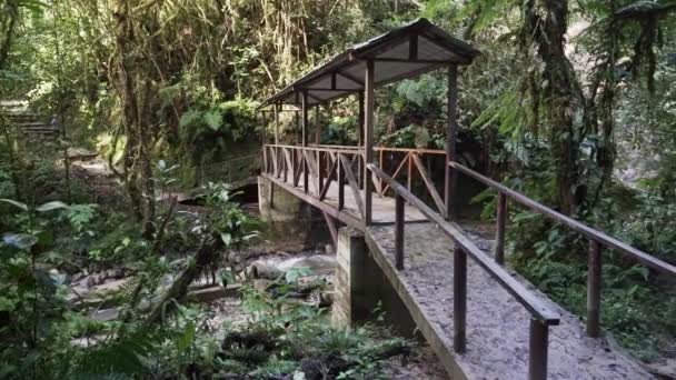 エクアドルのアンデスにあるポドカルパス国立公園のハイキングトレイルに沿って小さな川の上に木製の橋 — ストック動画