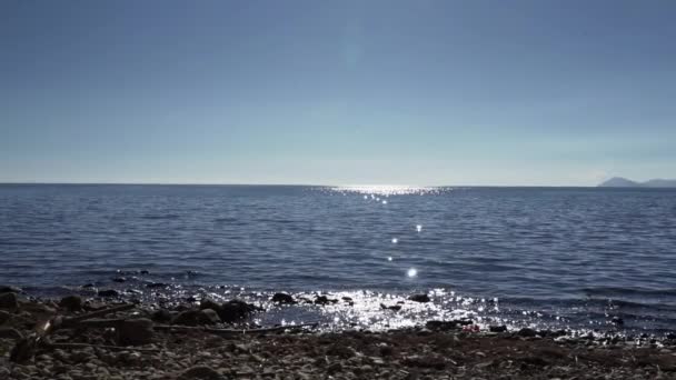Kusten Sjön Titicaca Nära Copacabana Bolivia Den Höga Höjden Anderna — Stockvideo