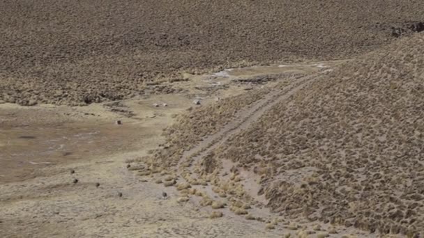 남아메리카의 안데스 산맥의 Altiplano를 도로에서 아르헨티나 북부의 건조하고 건조한 풍경을 — 비디오