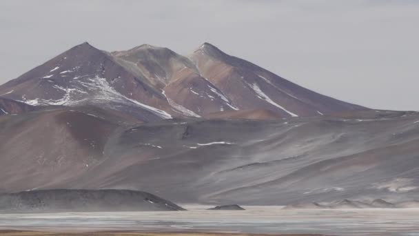 Bela Paisagem Altiplano Nos Andes Com Montanhas Cobertas Neve Longo — Vídeo de Stock