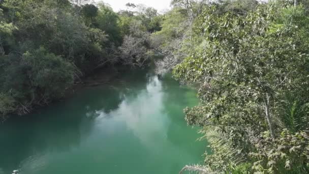 Smaragdgrün Gefärbter Ruhiger Tropischer Fluss Der Nähe Von Bonito Brasilien — Stockvideo