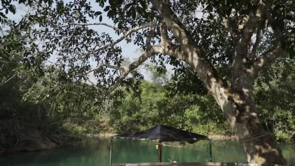 エメラルドグリーンカラー ブラジルのボニート近くの静かな熱帯の川 リラクゼーションのための人気の旅行先とスパ — ストック動画