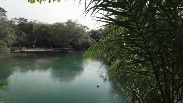 Smaragdgrün Gefärbter Ruhiger Tropischer Fluss Der Nähe Von Bonito Brasilien — Stockvideo