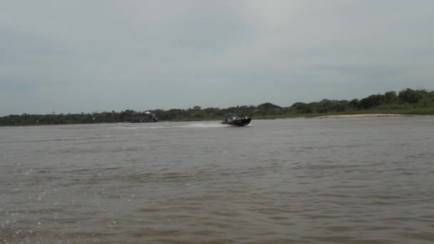 Motorówka Ścigająca Się Tropikalną Rzeką Pobliżu Porto Jofre Mokradłach Bagien — Wideo stockowe
