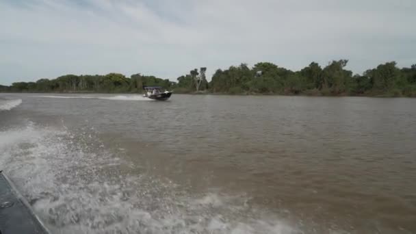 Speedboot Racend Een Tropische Rivier Bij Porto Jofre Wetlands Van — Stockvideo