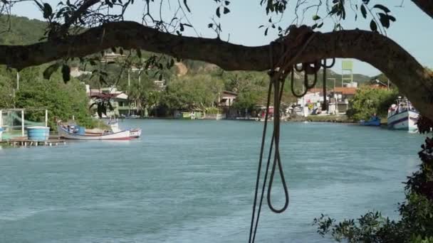 Pequeño Pueblo Largo Río Isla Santa Catarina Costa Del Océano — Vídeo de stock