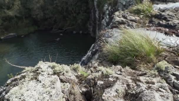 Petite Cascade Tombant Sur Bord Quelques Rochers Dans Les Hautes — Video