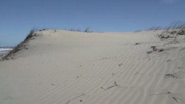 Okyanus kıyısındaki Florianolpolis yakınlarındaki Ilha Santa Catarina tropikal manzarası boyunca uzanan güzel ve cennet gibi beyaz kumsalda dalgalar kıyıya vuruyor..