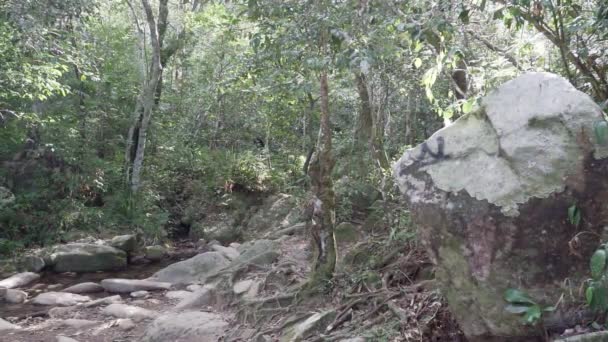 Sentier Randonnée Vers Plage Sable Blanc Intacte Isolée Lagoinha Leste — Video