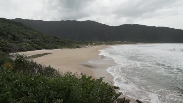 Nedotčená Osamocená Bílá Písečná Pláž Lagoinha Leste Florianopolis Podél Tropického — Stock video