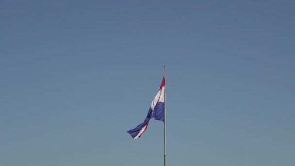コラ国立公園で風を振るパラグアイの国旗 — ストック動画