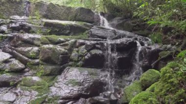 Güney Brezilya 'nın uzak yağmur ormanlarında sakin küçük şelale.