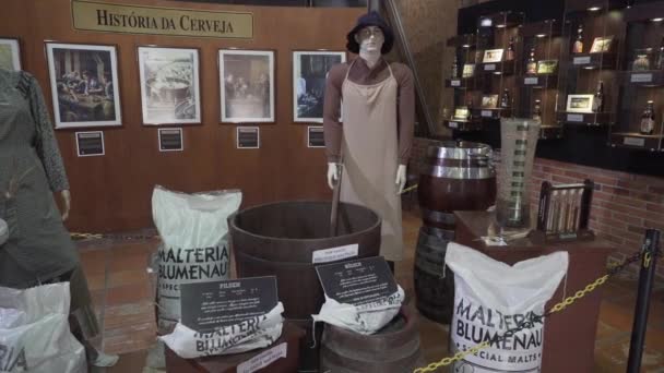 Blumenau Brazil 2019 Typical Traditional German Attire Brewery Museum Blumenau — Stock Video