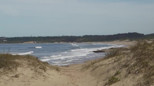 ウルグアイの大西洋の海岸沿いの白いビーチの砂丘 南アメリカ — ストック動画