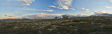 Norveç 'in orta kesimindeki Dovrefjell Ulusal Parkı' ndaki soğuk sert tundranın manzarası.