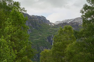 Norveç 'in dağlık dağlık dağlık arazilerinde Lysefjorden' daki Lysebotn 'a kadar pek çok virajlı ve keskin virajlı dramatik dağ yolu.