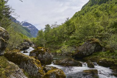 Güzel Bondhus Vatnet dağ gölü Norveç 'in dağlık kesimlerinde mavi bir buzulun eteklerinde, doğa severler ve doğa yürüyüşçüleri için popüler bir seyahat merkezi..