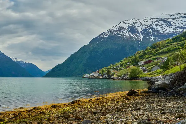 beautiful tranquil landscape at the beach of Hardanger fjord with calm green water and snow covered mountains of the highlands in Norway in the background.