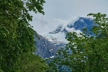 Norveç 'teki Kjenndalsbreen buzulunun güzel ve sakin manzarası.