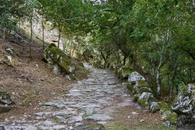 Portekiz, Avrupa 'daki Peneda Geres Ulusal Parkı' nda eski Roma Ponte Mizarela ya da güzel bir kemerli ve pitoresk şelaleli Devils Köprüsü 'ne doğru eski kaldırım taşı yolu.