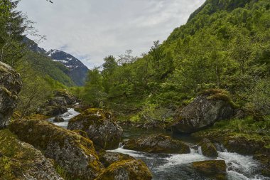 Norveç 'in dağlık bölgelerindeki güzel Bondhus Vatnet Gölü' ne doğru şelale boyunca, doğa severler ve yürüyüşçüler için popüler bir seyahat yeri..