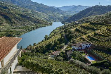 Douro Nehri 'nin güzel ve huzurlu manzarası, Portekiz' de popüler bir seyahat merkezi ve mükemmel şarap ve üzüm bağlarıyla tanınıyor..