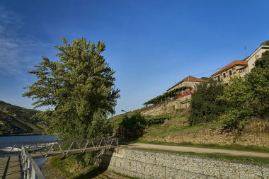 Douro Nehri 'nin güzel ve huzurlu manzarası, Portekiz' de popüler bir seyahat merkezi ve mükemmel şarap ve üzüm bağlarıyla tanınıyor..