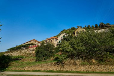 Douro Nehri 'nin güzel ve huzurlu manzarası, Portekiz' de popüler bir seyahat merkezi ve mükemmel şarap ve üzüm bağlarıyla tanınıyor..