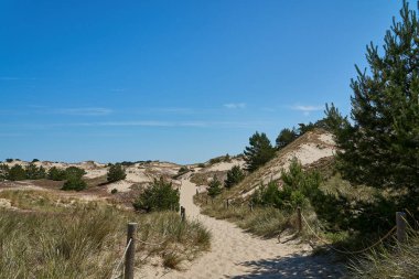 Leba, Pomerania, Polonya 'da Baltık Denizi kıyısındaki Slowinski Ulusal Parkı' nda güzel bir sahilde kum tepesi..