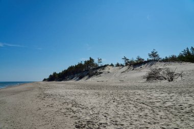 Leba, Pomerania, Polonya 'da Baltık Denizi kıyısındaki Slowinski Ulusal Parkı' nda güzel bir sahilde kum tepesi..