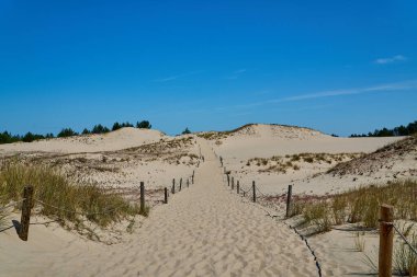 Leba, Pomerania, Polonya 'da Baltık Denizi kıyısındaki Slowinski Ulusal Parkı' nda güzel bir sahilde kum tepesi..