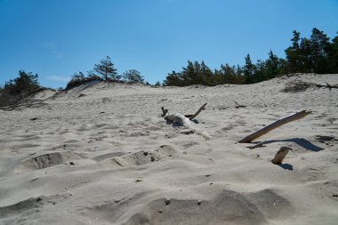 Leba, Pomerania, Polonya 'da Baltık Denizi kıyısındaki Slowinski Ulusal Parkı' nda güzel bir sahilde kum tepesi..