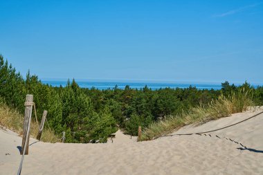 Leba, Pomerania, Polonya 'da Baltık Denizi kıyısındaki Slowinski Ulusal Parkı' nda güzel bir sahilde kum tepesi..