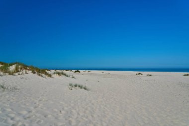 Leba, Pomerania, Polonya 'da Baltık Denizi kıyısındaki Slowinski Ulusal Parkı' nda güzel bir sahilde kum tepesi..