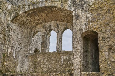 Pembroke, Wales - 02 28 2023: Altında su olan binalarla çevrili yeşil bir tepedeki eski ortaçağ Pembroke kalesi